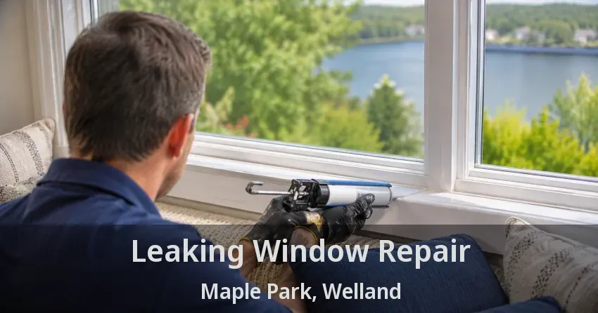 Leaking Window Repair Maple Park, Welland - ON