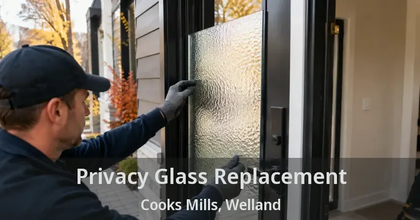 Privacy Glass Replacement Cooks Mills, Welland - ON
